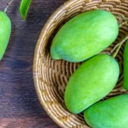 How to Grow and Care for Mango trees