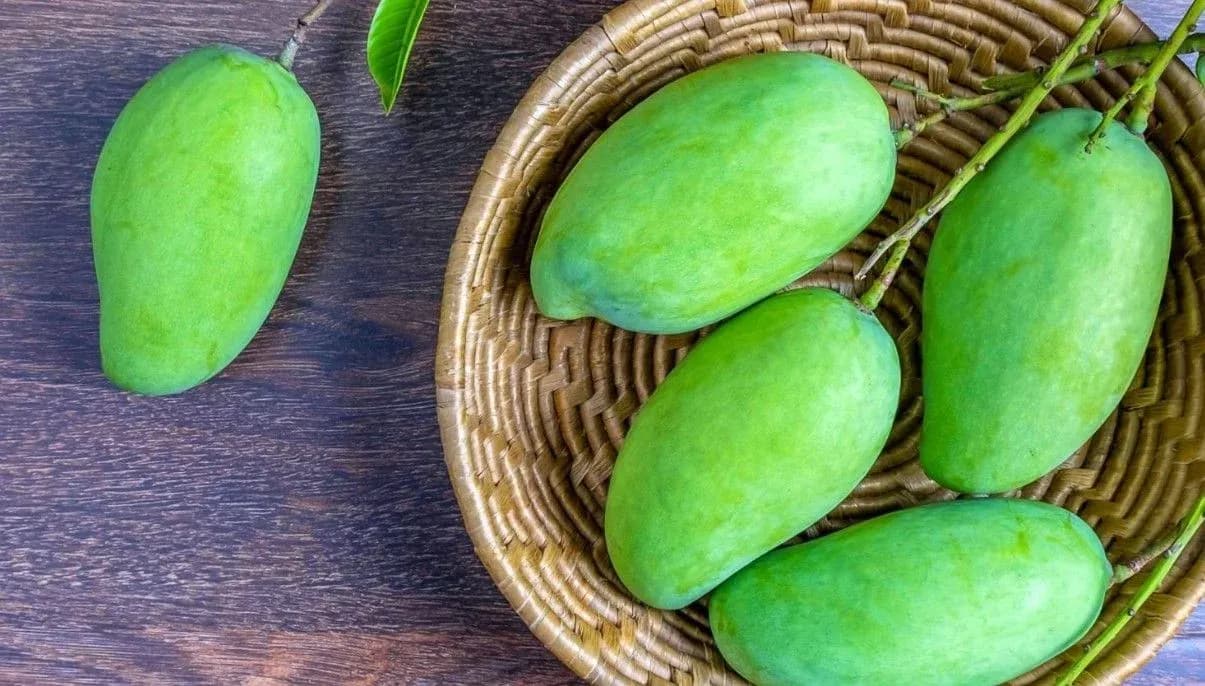 How to Grow and Care for Mango trees