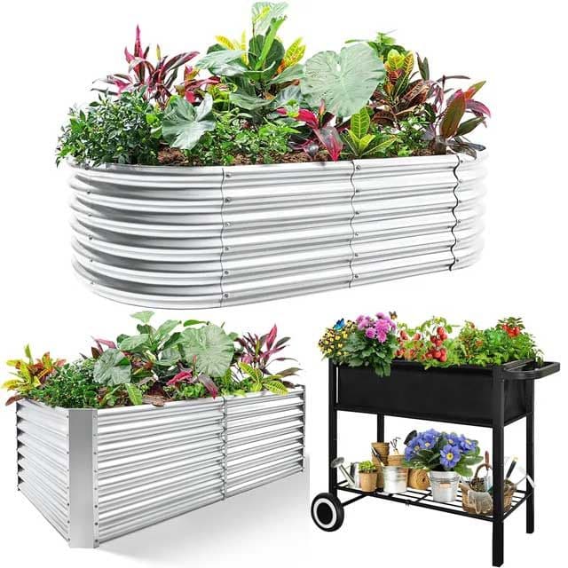 Planter Raised Beds