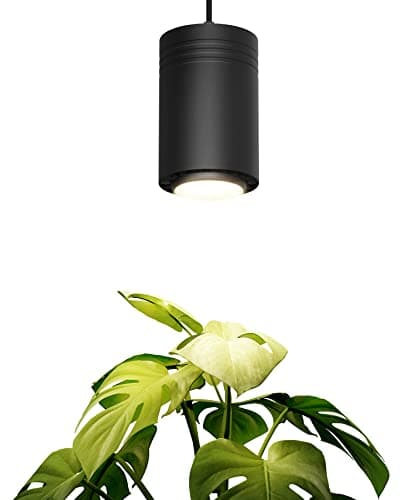 Aspect World's First Decor Grow Light - Large Black Luxury LED Grow Light – for Medium and Large Plants New Large