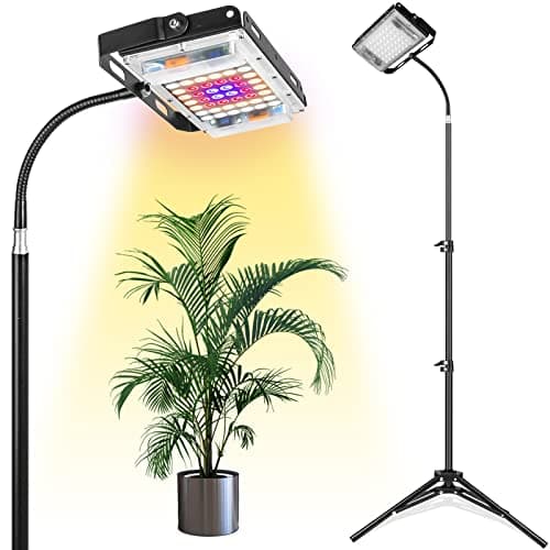 Best Grow Lights 2025: Affordable Options for Seedlings, Herbs & Houseplants