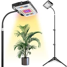 Best Grow Lights 2025: Affordable Options for Seedlings, Herbs & Houseplants