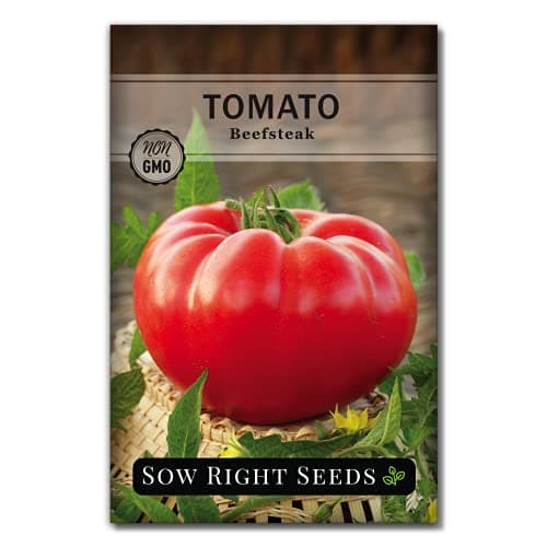 Sow Right Seeds - Beefsteak Tomato Seeds for Planting - Non-GMO Heirloom Packet with Instructions to Plant a Home Vegetable Garden - Indeterminate, Super Large and Bright Red Fruits (1)