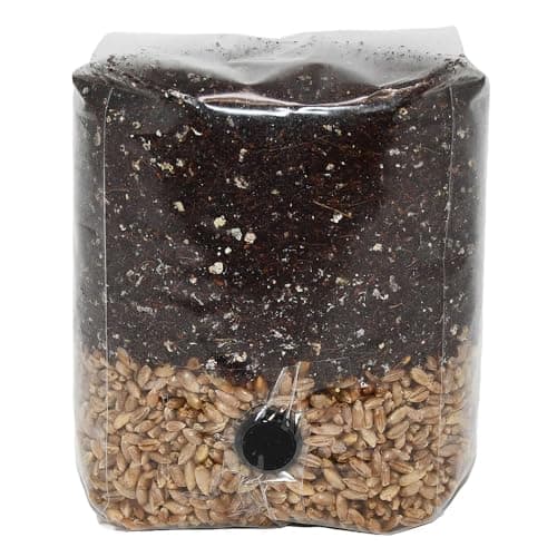 Mini All in One Mushroom Grow Bag