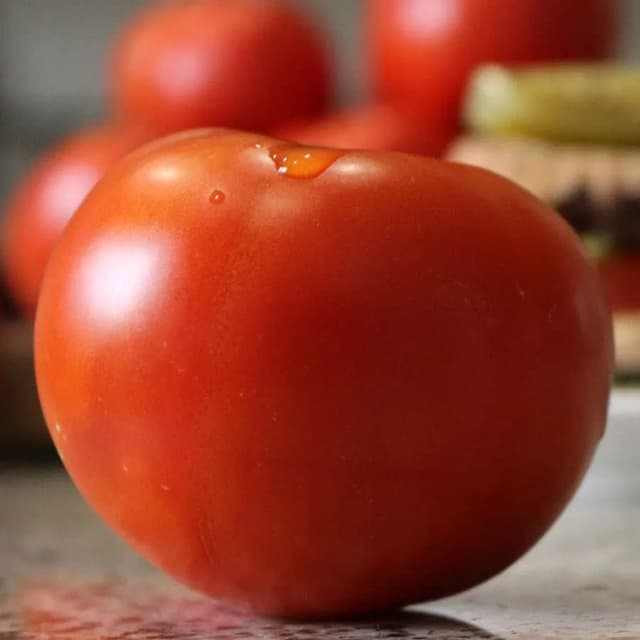 Park Seed, Celebrity Plus Hybrid Tomato Seeds, Pack of 30 Seeds