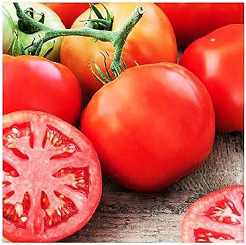 Delicious Tomato Seeds - Large Tomato - One of The Most Delicious Tomatoes for Home Growing, 100+ Seeds