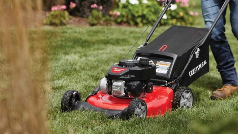 The Best Gas Lawn Mowers Of 2024 Reviews By New York 7989